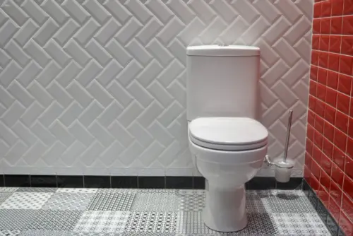 Toilet-Installation--in-Syosset-New-York-toilet-installation-syosset-new-york.jpg-image