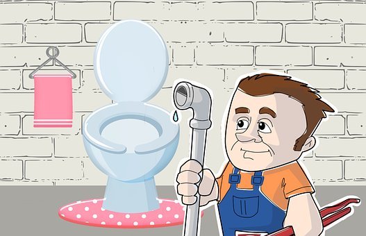 Toilet-Repair--in-Manhasset-New-York-toilet-repair-manhasset-new-york.jpg-image